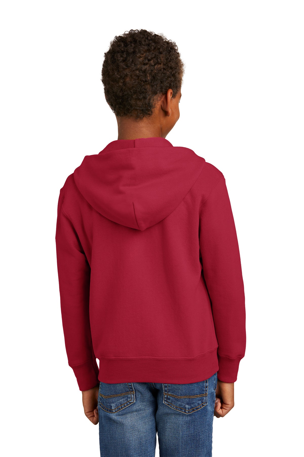 Our Lady of Lourdes Fleece Full-Zip Hooded Sweatshirt (PC90YHZ)