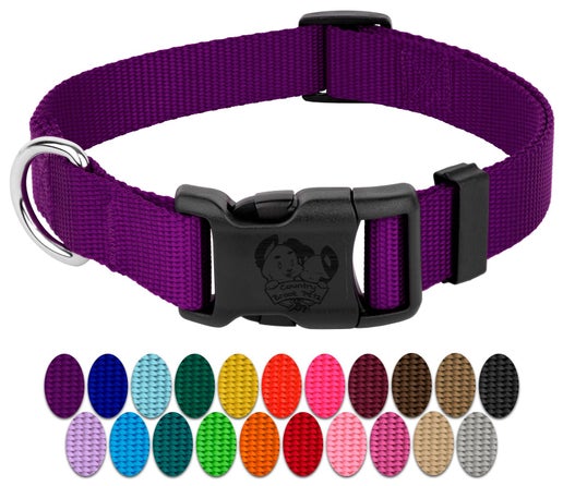 Personalized Dog Collar