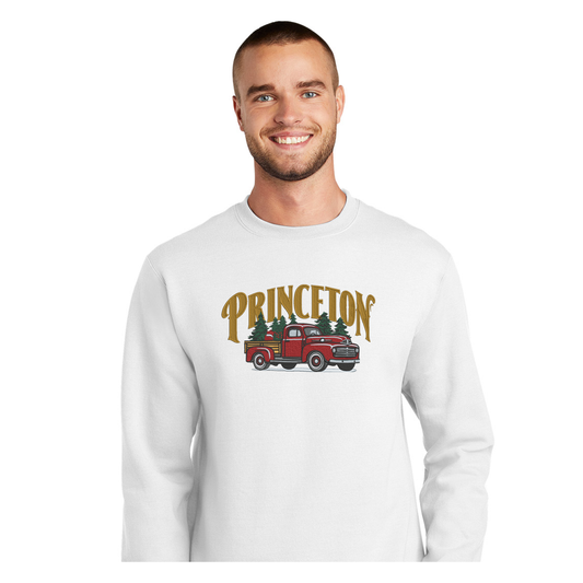 Small Town Christmas Sweatshirt - Princeton, CA